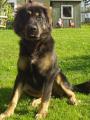 Bhara-Khan 7 a p�l m�s�ce