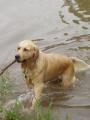 Ag�tka se koupe ve Hv�zd�