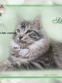 S�rinka