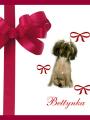 na�e Betty