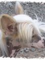 L�to 2005 - portr�t