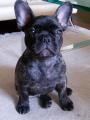 Cliff - 10. t�dn�