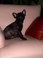 J� se nechci fotit