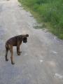 Tak u� poj�