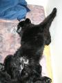 Spachto�