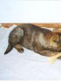 tak s chut� do toho :-))