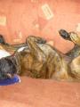 spink�m