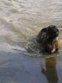 Ve vod�