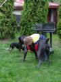 Zase hl�d�m n�jak� d�t�
