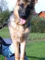 Sam�k