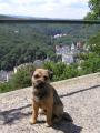 Conti z Paseck� H�jovny