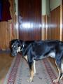 N�s Max��ek
