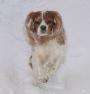 ve sn�hu