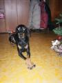 To jsou moje d�rky a nikdo k nim nesm�!!!