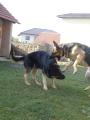 Kousnu t�