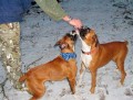 Se star�� kamar�dkou na proch�zce