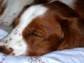 A zase spink�m...