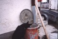 V ko�i