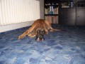 Dorka �ek�  co se bude d�t