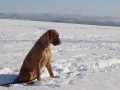 na proch�zce