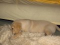 2 m�s�ce