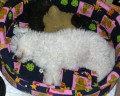 Spink�...