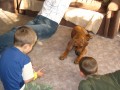 nov� kamar�di