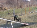 Agility v zim�