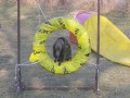 Agility v zim�