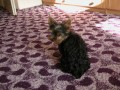 nemluv�m s tebou