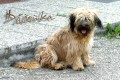D�enka Dol�kov�:)