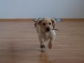 viem aj be�a�
