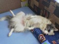 Takhle spink�me