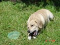 Na �umav� 2