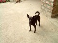 P��a