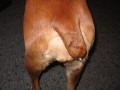 pozn�vac� znamen�