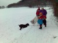 Hr�tky s kozou