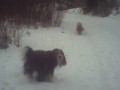 Oto�ka