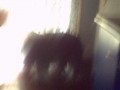 Um�leck� fotka