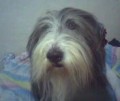 �udlinka