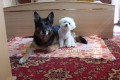 Clea & Bi�o