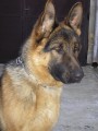 Artu�