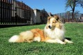 �elti�ka Gerbe Smaal Kim
