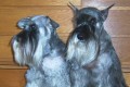 kn�ra