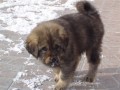 Tady je mi 8 t�dn�