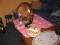 prvn� ochutn�vka