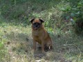 V�echny �i�ky jsou moje..
