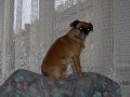 Venku nic nov�ho