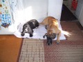 moje dv� holky