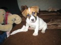 to se teda div�m :-)))